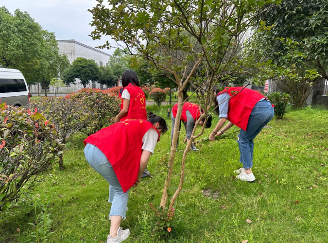 25996272.png image.png